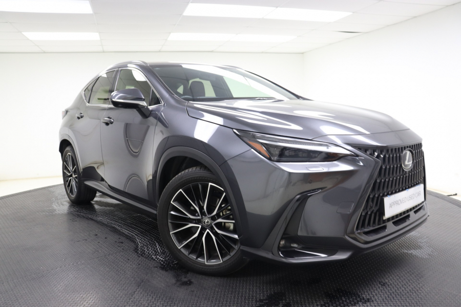 2022 Lexus Lexus NX 250 Luxury